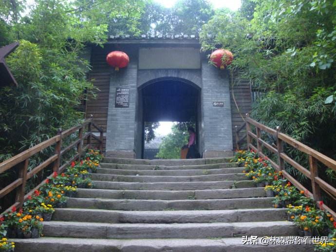 林森完整版免费观看,林森完整视频