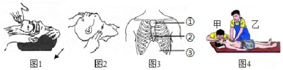 临沂2022生物会考答案,罗庄区生物一模试卷