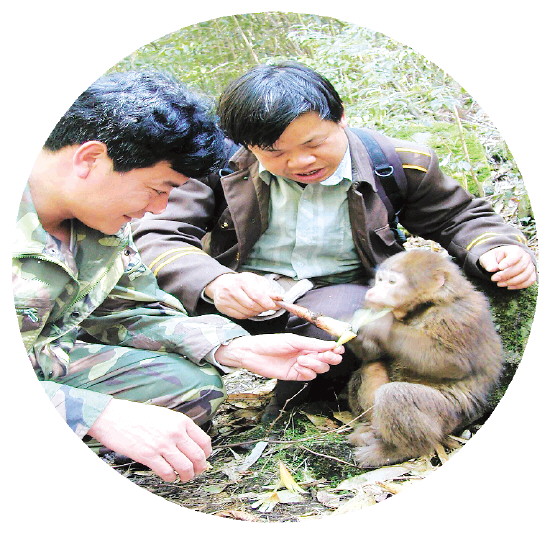 缁挎按闈掑北鏂扮敾鍗风敓鎬佹枃鏄庢柊鏍囨潌,缁挎按闈掑北涓嶅繕鍒濆績