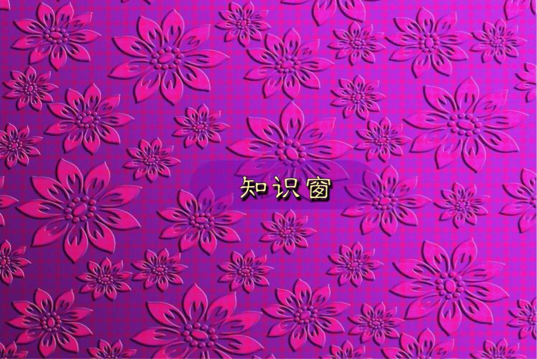 微信的10个功能你真的会使用吗,长按桌面微信2秒隐藏13个实用功能