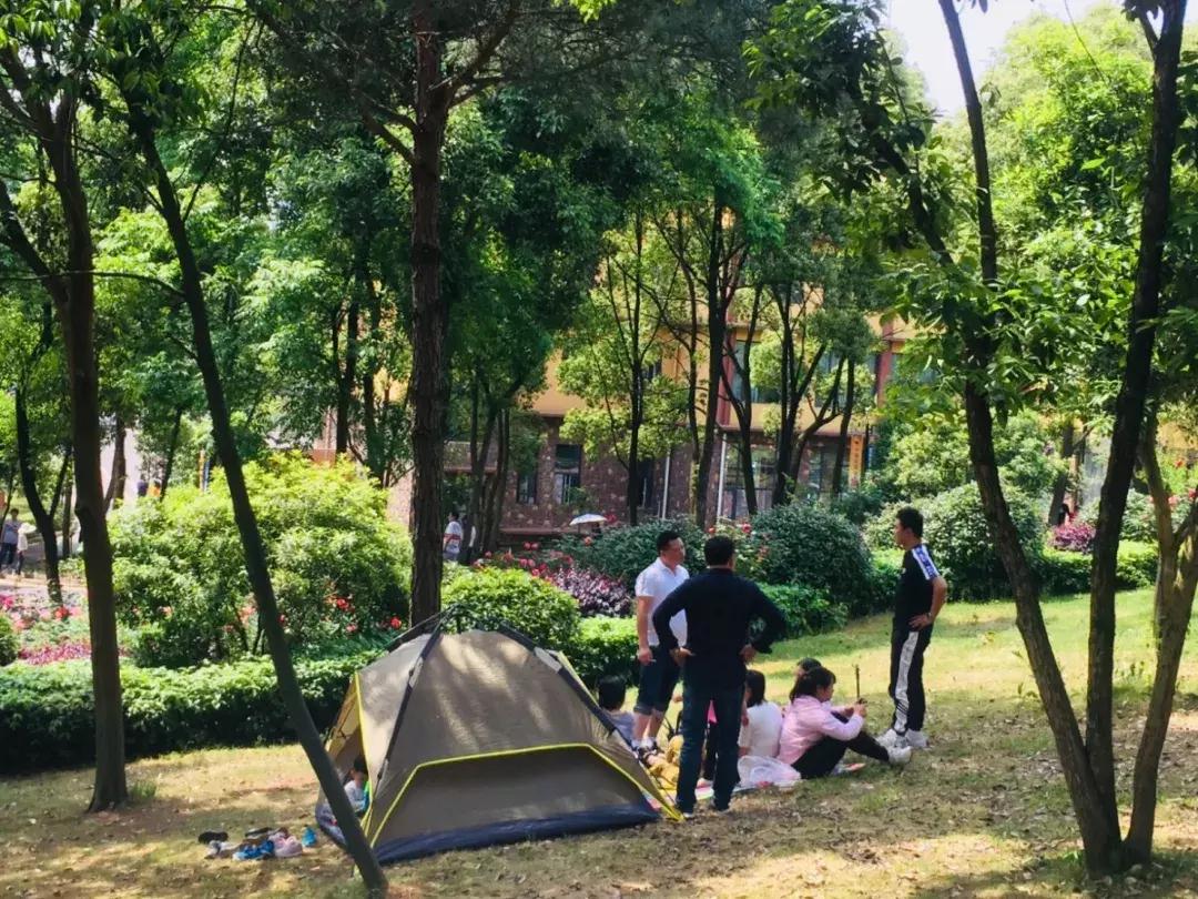 长沙松鼠园游玩攻略,端午长沙再成旅游热门目的地