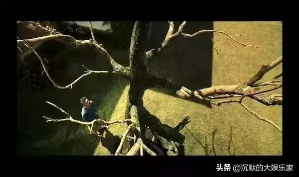 有哪些关于泰国的好看的电影,泰国小清新电影解说