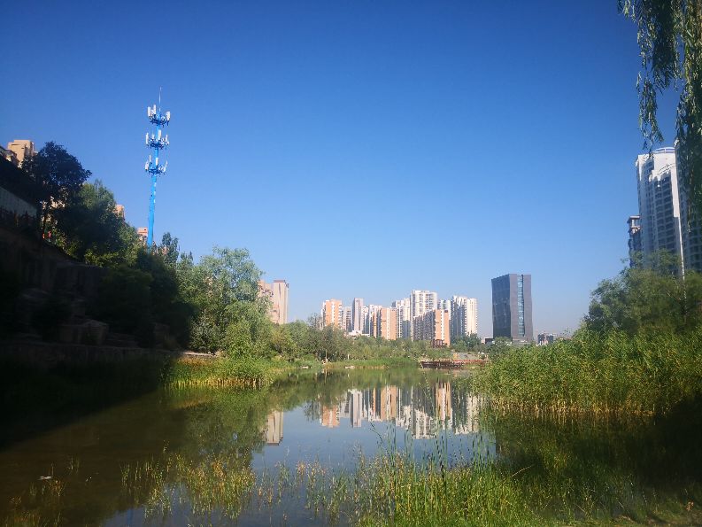 青海西宁回族女人性格特点,西宁人的特点是什么