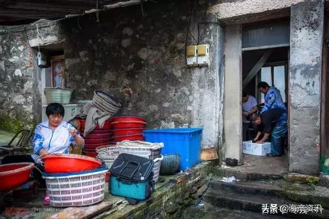 4.8斤大黄鱼售出2万多元是真的吗,温州8.7斤重野生大黄鱼卖了68800元