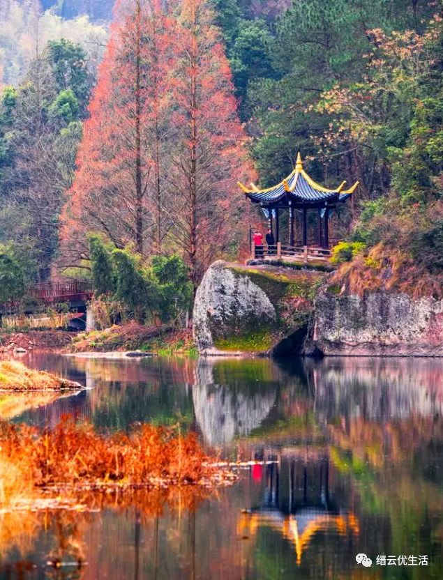 美哭了宛若人间仙境,缙云人间仙境