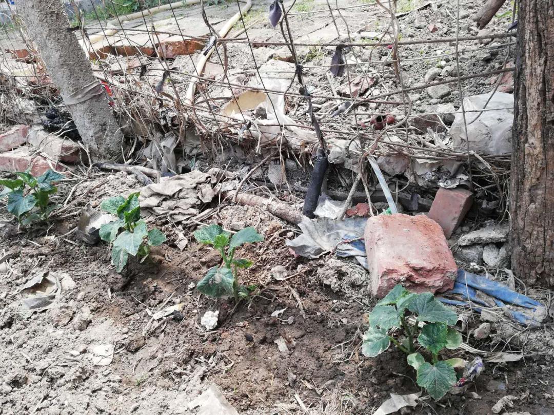 闲着木事儿，你来俺家玩儿呗