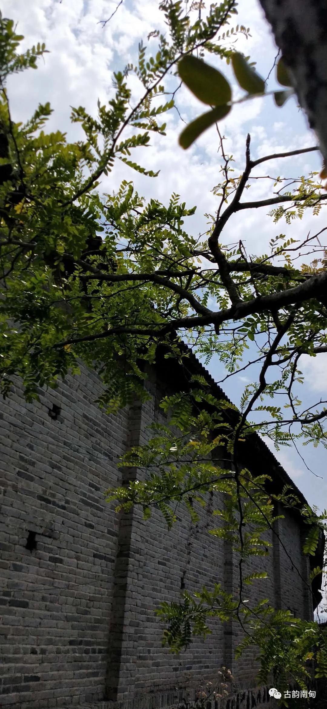 姊佹渤鐗硅壊缇庨,姊佹渤鐗硅壊缇庨鎺ㄨ崘