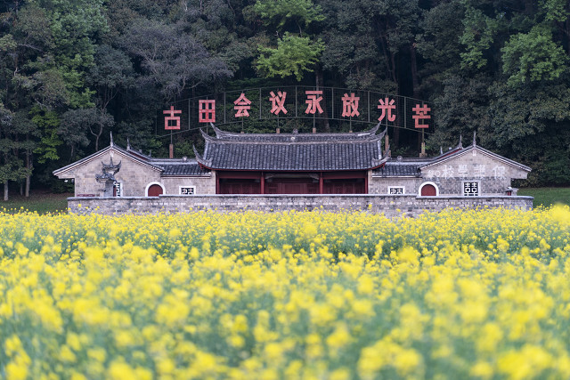 战地黄花电影,战地黄花26