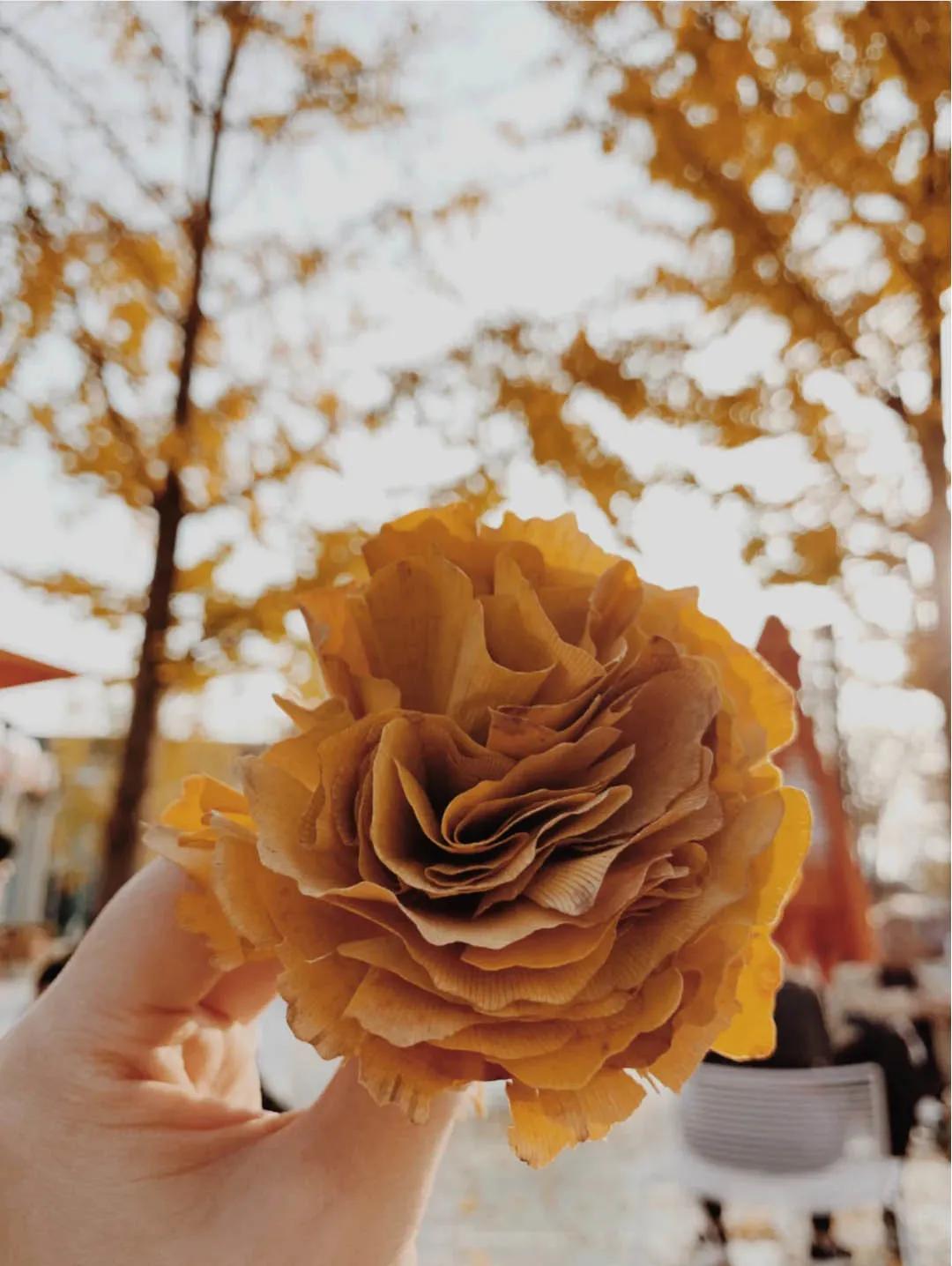 银杏树叶如何做玫瑰花,银杏叶如何制作玫瑰花