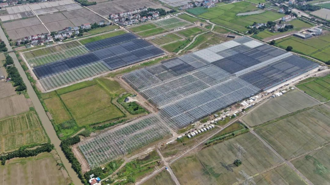 乐高乐园金山区,金山乐高乐园地理位置