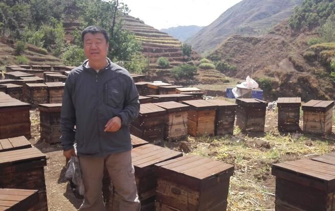 养蜂农和采蜂农的蜂蜜哪个好,养蜂农枣花蜂蜜是纯的吗