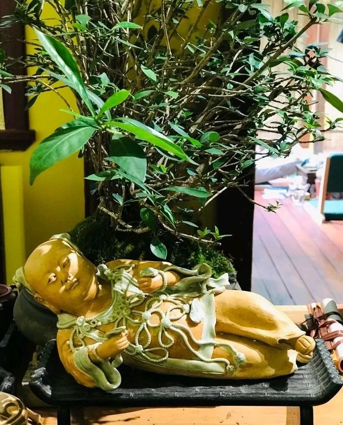 面对护短的婆婆我该怎么办,面对公公婆婆的偏心我无能为力