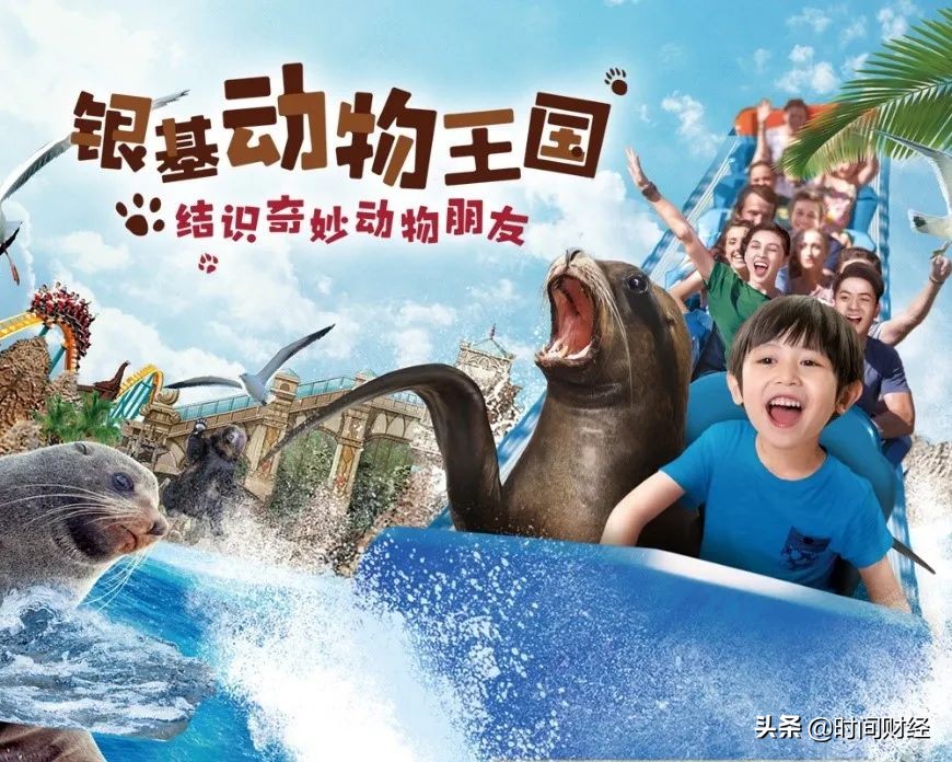 河南景区一碗烩面88元,河南88元一碗烩面