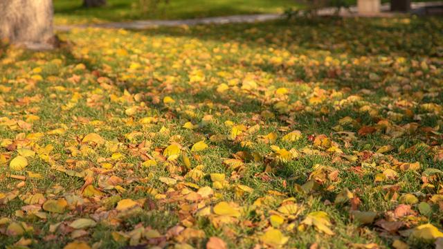 内蒙古的“土豪”大学,是一所省部共建高校,校园风景四季美如画