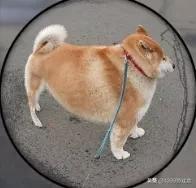 游戏里那些惊人的物理外挂,游戏的物理外挂有多离谱