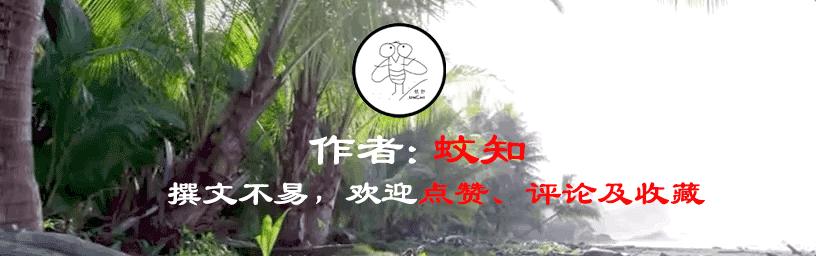 中年男性脱发原因及治疗方法,中年男性遗传性脱发能治好吗