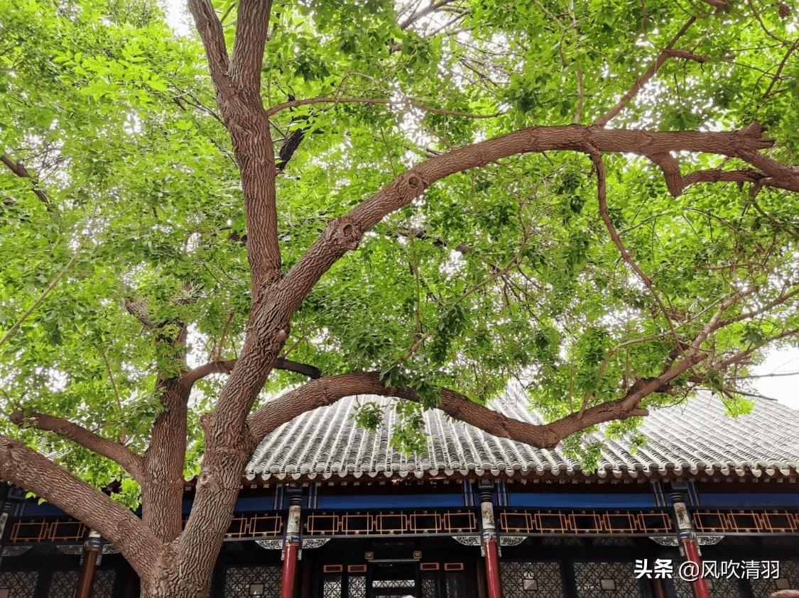 东北适合宜居的三四线城市,东北宜居的三四线小城