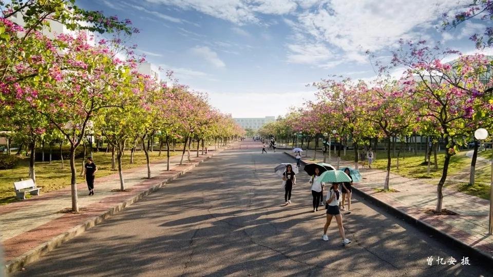 广东科学技术职业学院中专分数线,广东科学技术职业学院有本科嘛