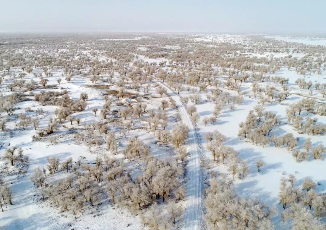 冬天的阿勒泰冰雪,冬天的雪冰雪奇缘