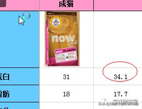 猫粮now评测,进口猫粮到底怎么选