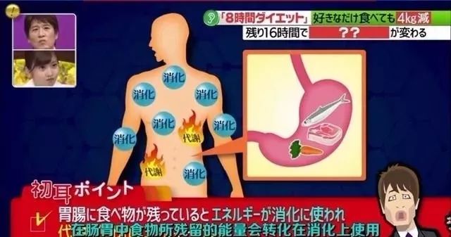 日本减肥达人2天瘦40斤,韩国减肥操7天减肥30斤