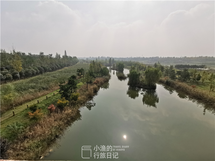 西安适合拍照的湿地公园,西安湿地公园赏花