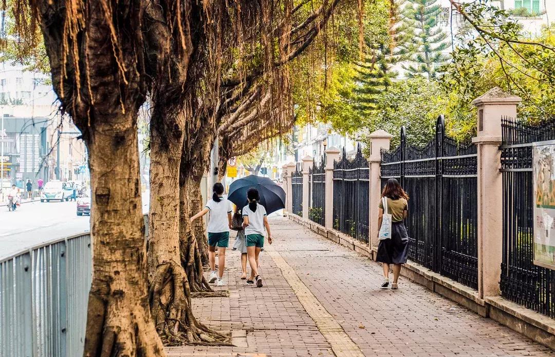 隐藏在梧桐山里的世外桃源,深山独门独户世外桃源