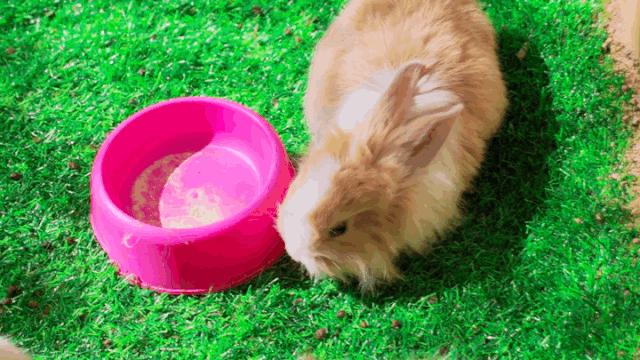 昆明亲子游户外旅行地,昆明周边户外游玩景点推荐带孩子