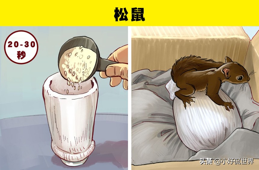 各种受伤处理方式,遇到野生动物受伤该怎么办