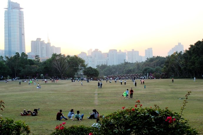 广东人对鸡情有独钟什么意思,为啥广东人喜欢吃鸡鸭鹅