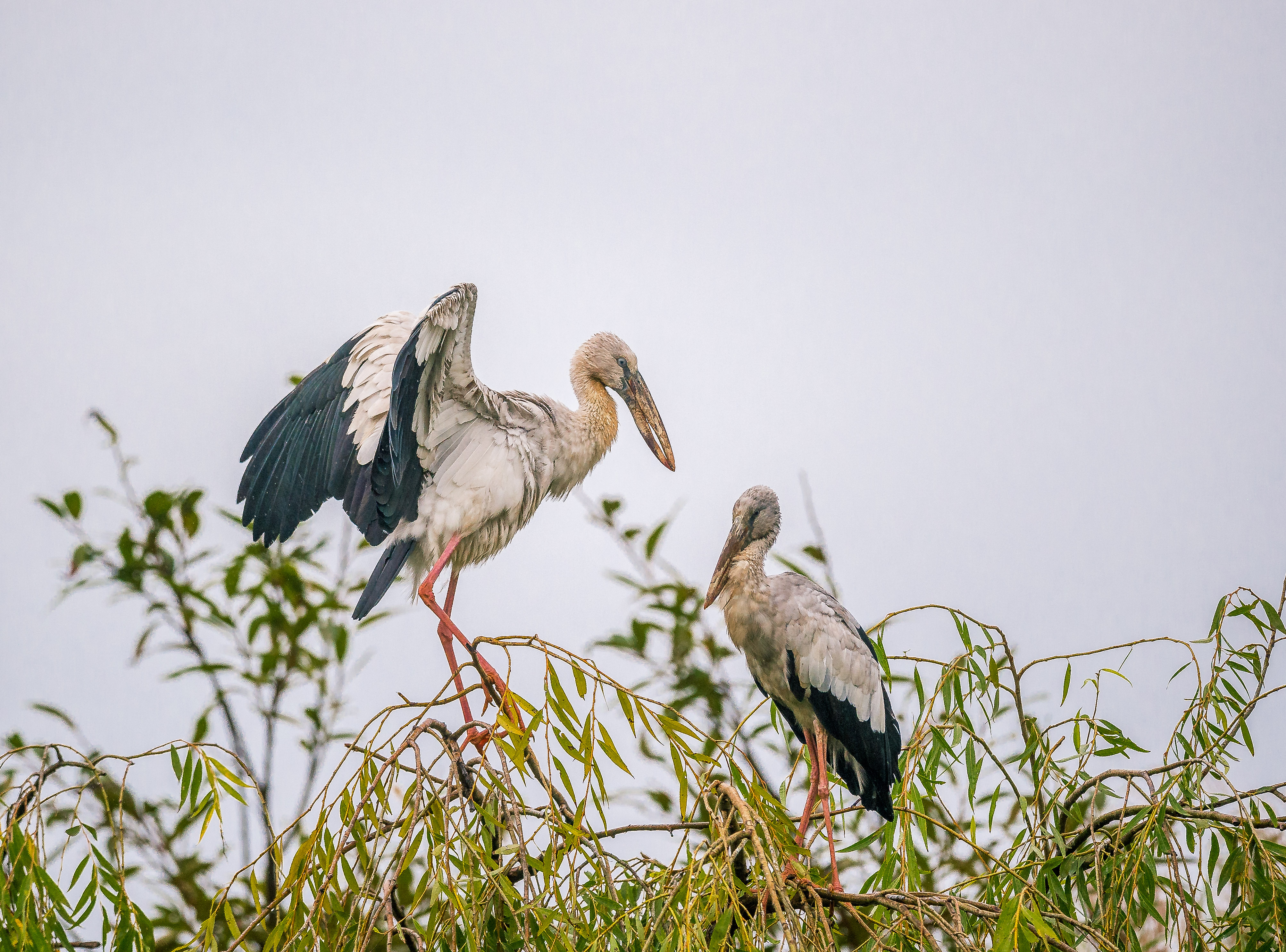 秋季川西摄影自驾游,川西七日自驾游攻略自由行