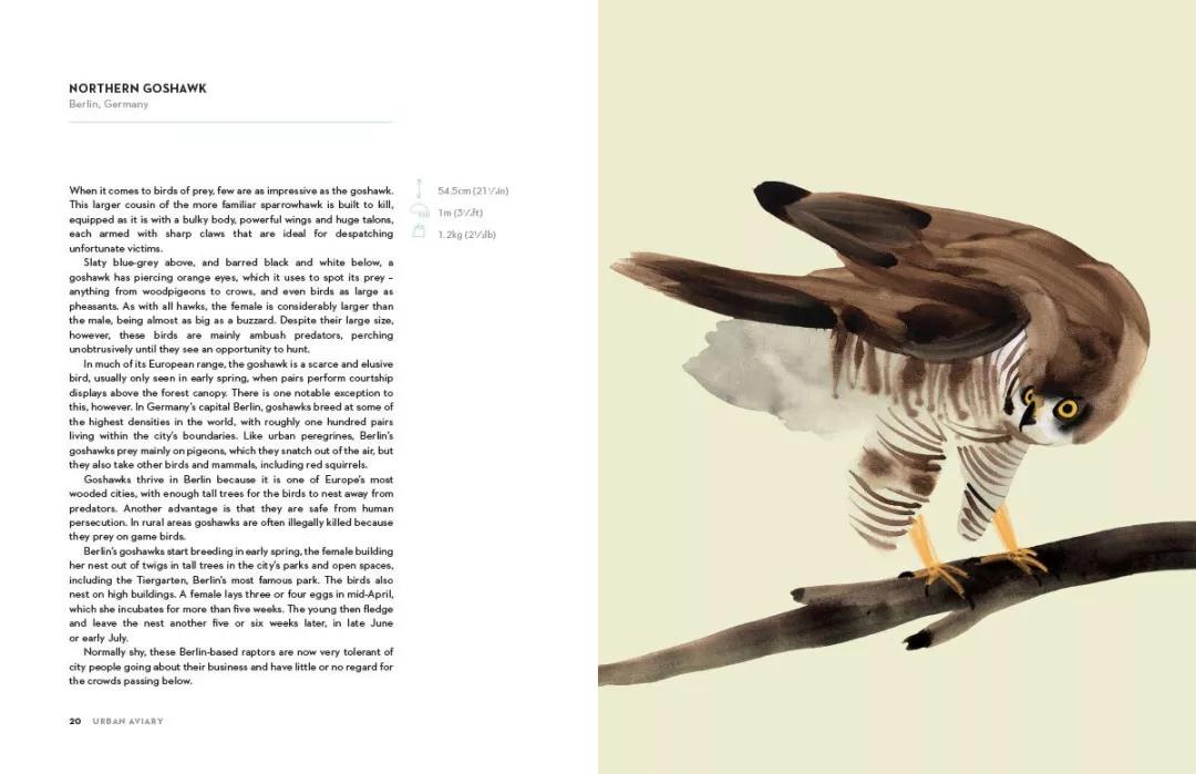 童真稚趣,稚拙童趣天真