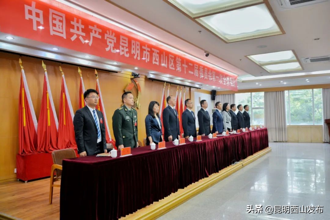 新一届区委领导班子已产生!王忠当选书记,朱滔、陈净当选副书记