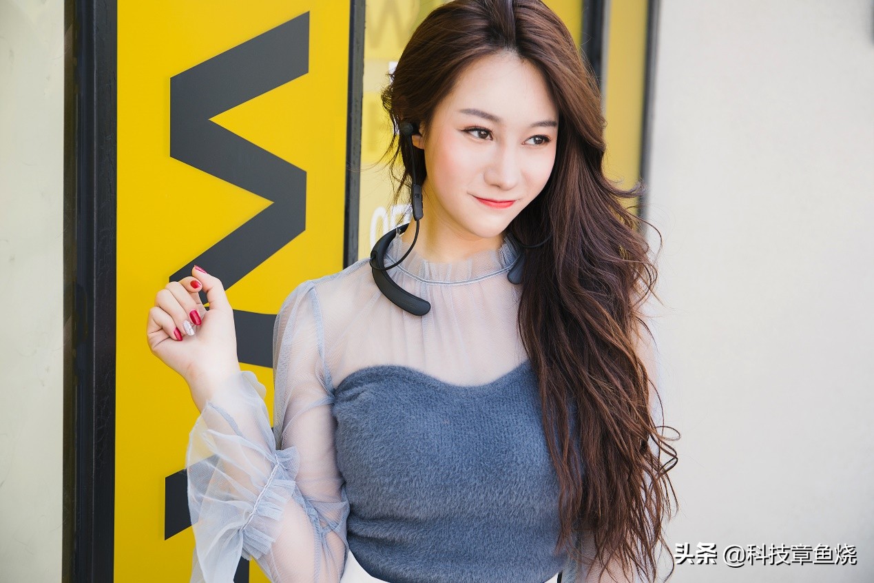 有bose的车,有bose音响的车