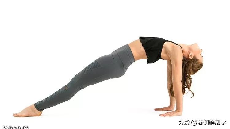 防止胸部下垂的锻炼瑜伽动作,瑜伽胸部松弛下垂的最佳动作