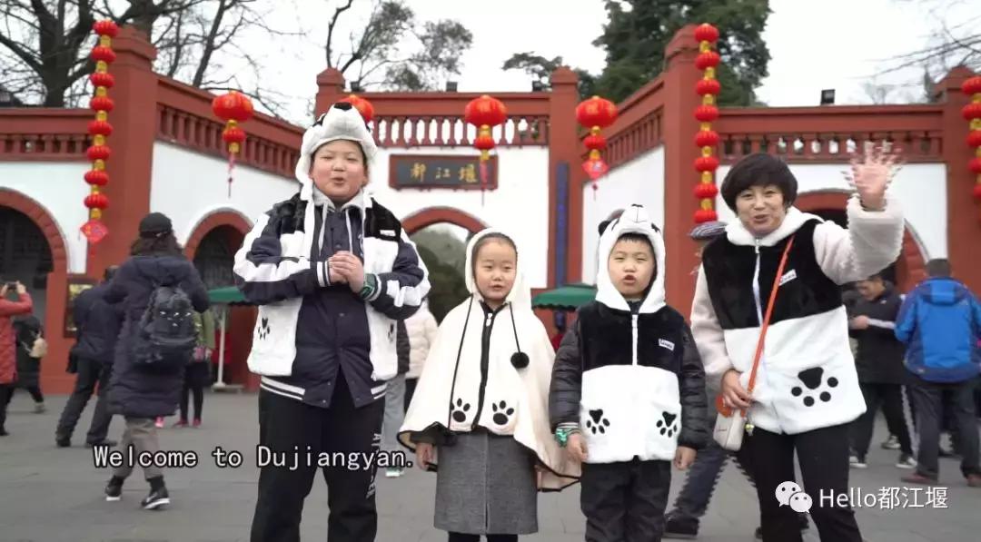 都江堰中华大熊猫苑熊猫宝宝,大熊猫金宝宝和华豹