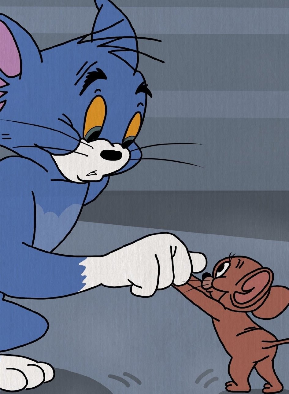 养猫劝退行为案例,养猫的迷惑行为视频