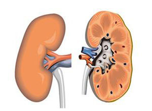 沈阳市健康体检中心主任：男性体检，重点指标看这7项，快收藏