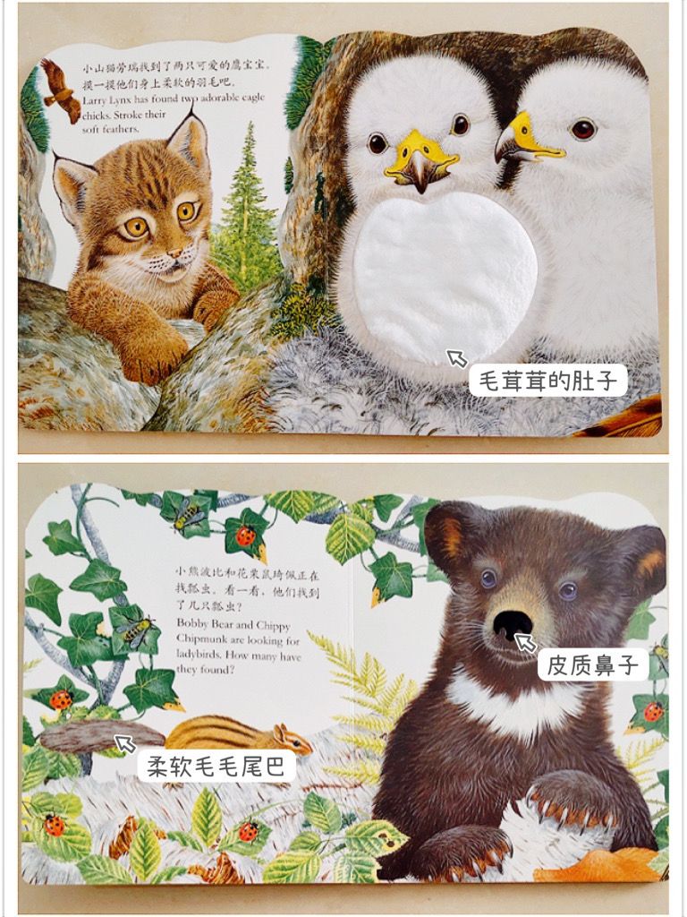 孩子百看不厌的绘本,宝宝有趣的绘本