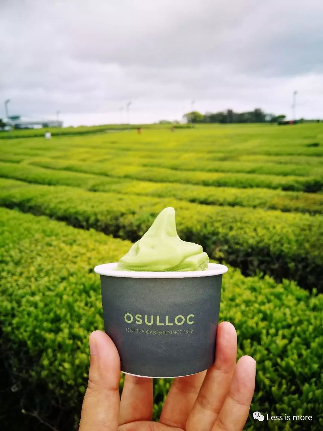 韩国济州岛五天攻略,韩国济州岛旅游详细攻略