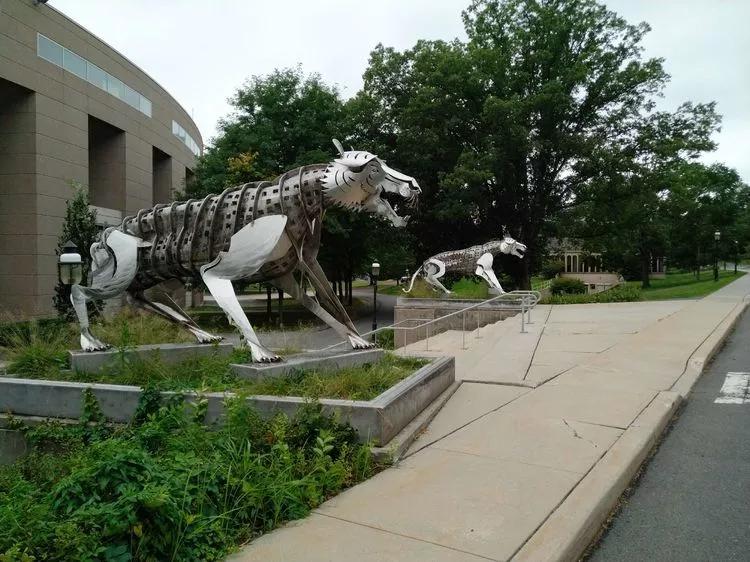 途征旅行,征途2020