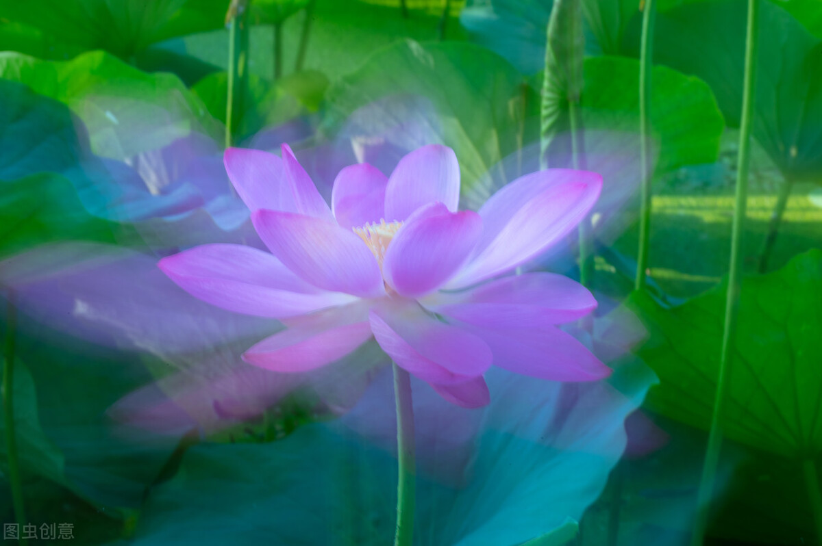 产科女医生的故事,妇产科门诊精彩故事