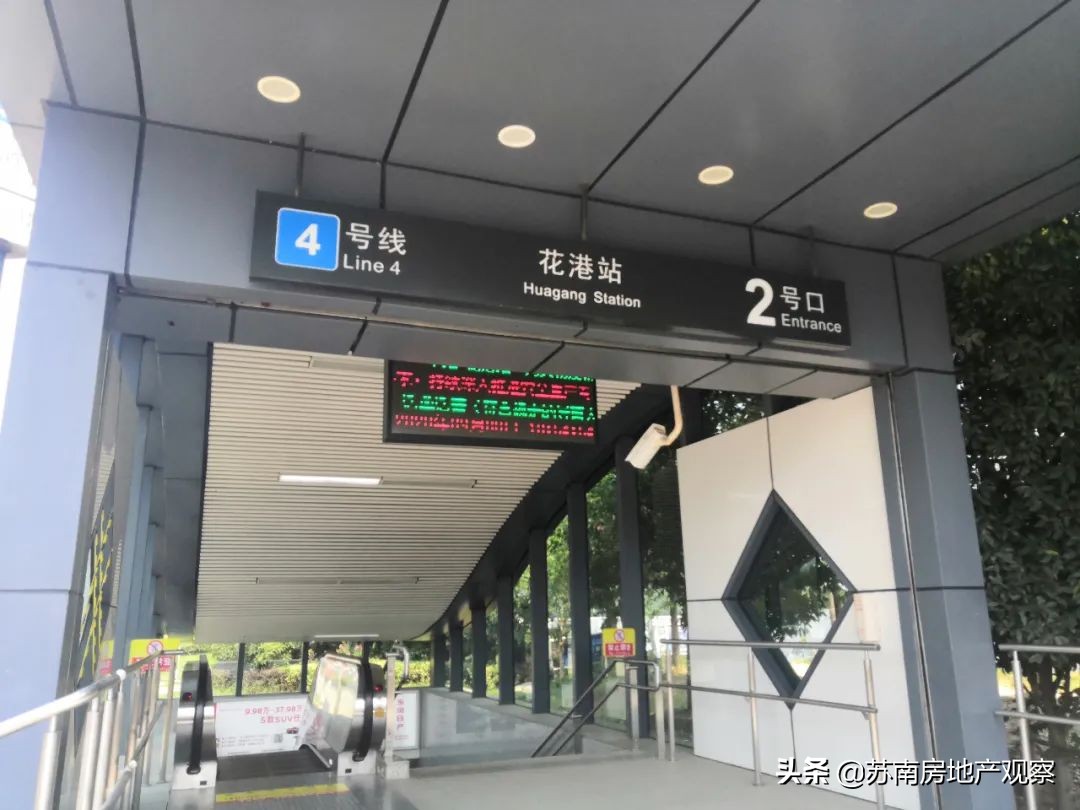 买花港,就是一场博弈