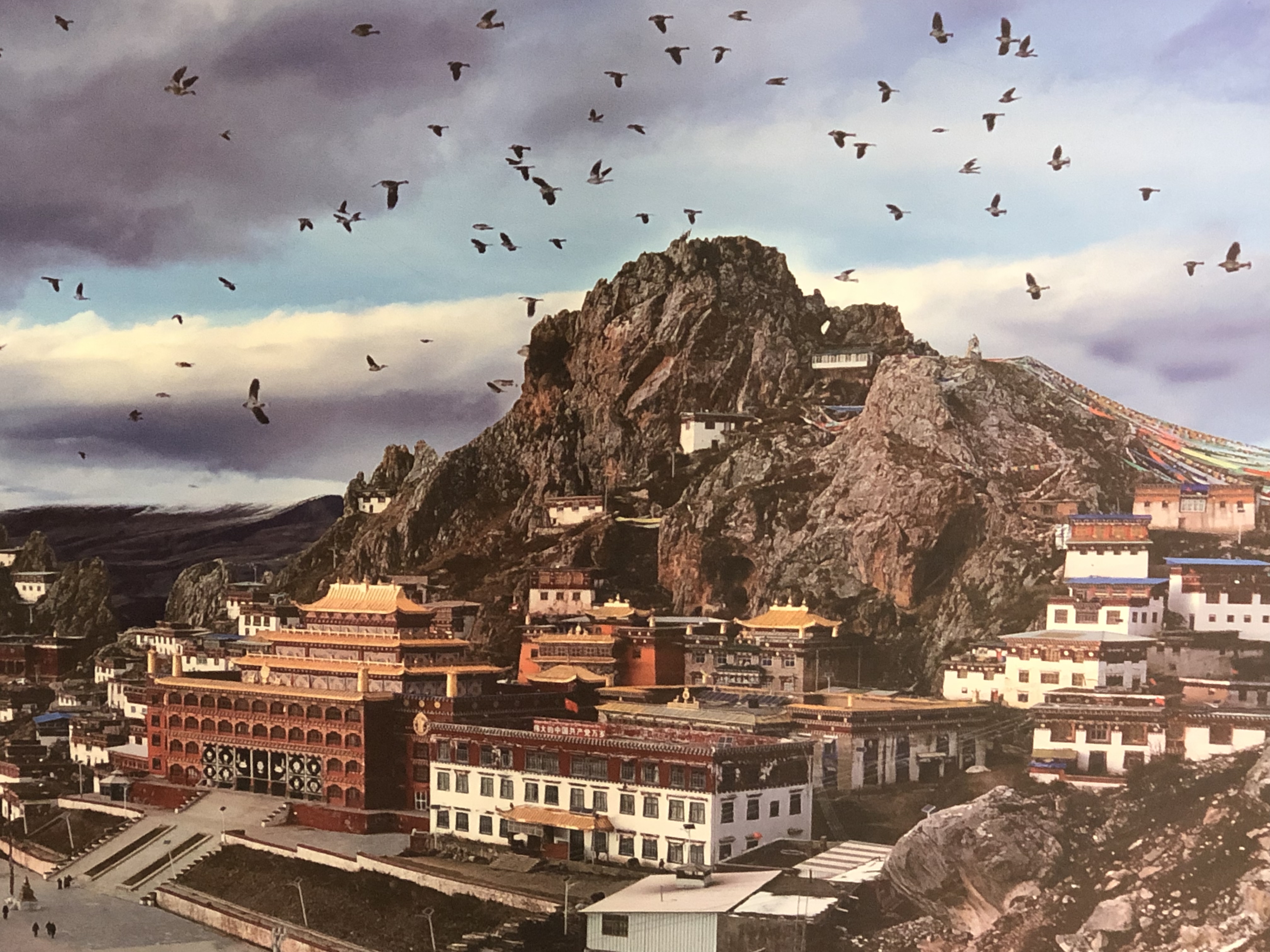 山南措美县有几个乡,介绍西藏山南措美