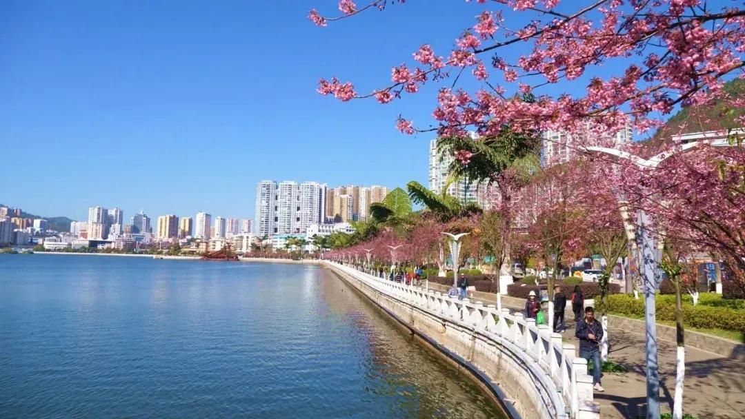 出门随处见绿，身边处处成景！看个旧如何实现“转型逆袭”→