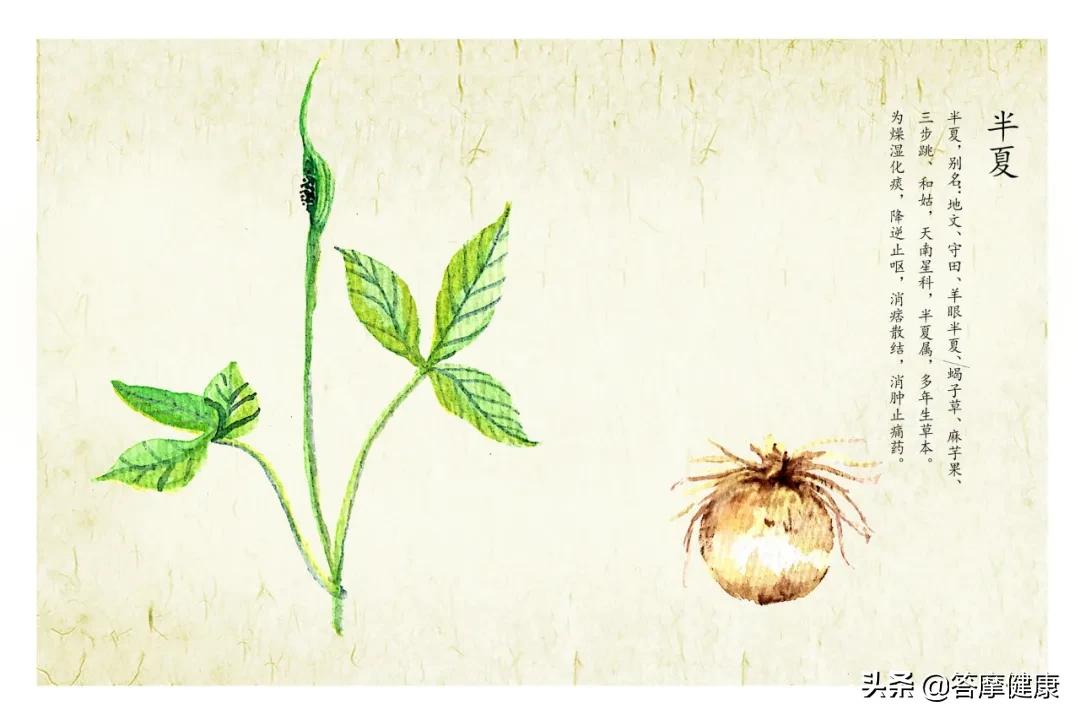 湿疹、犯困…折磨人的「湿邪」到底是什么？怎么辨？怎么治？