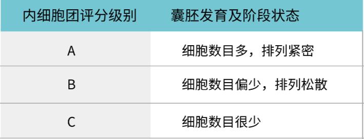 胚胎评级4bc什么意思,胚胎以什么标准评级