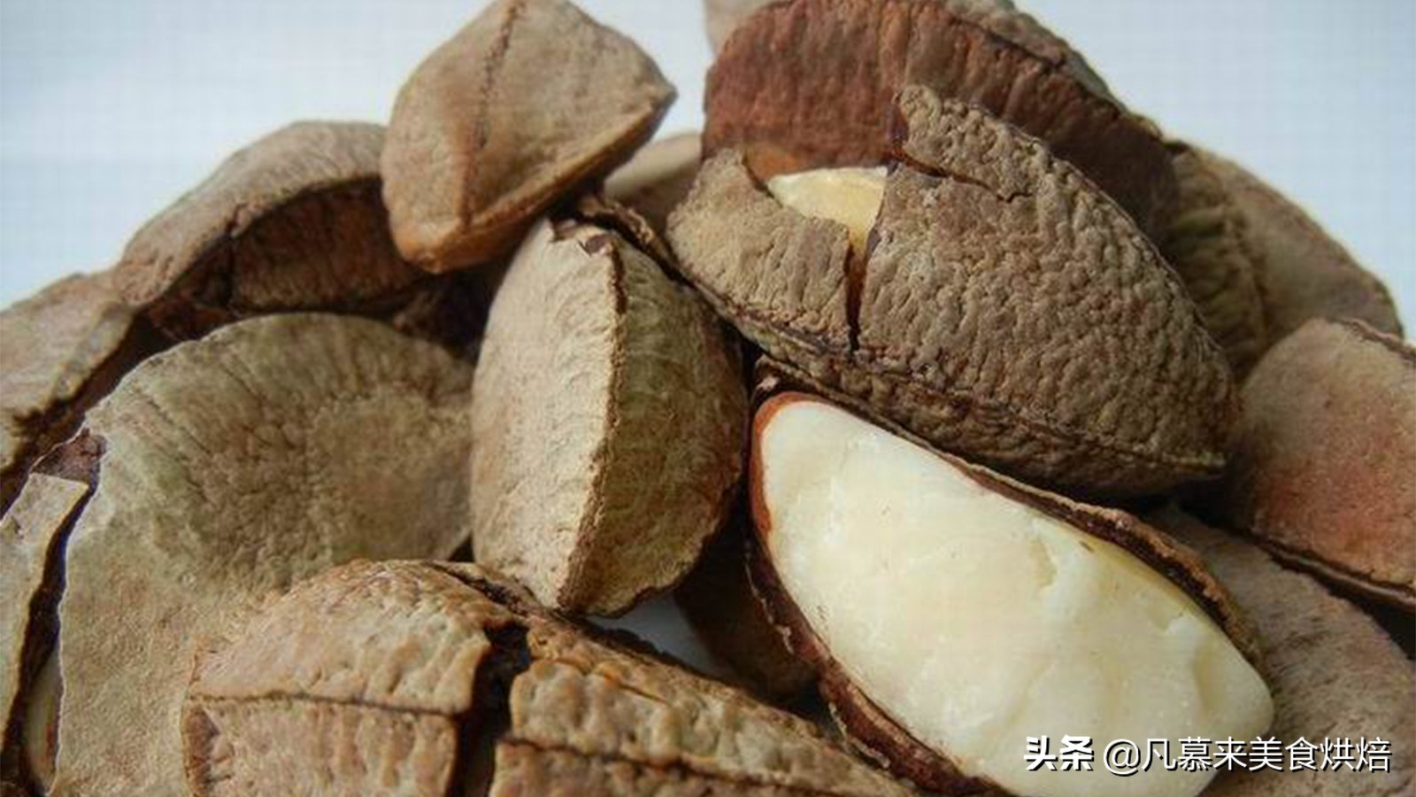 每日坚果八种营养坚果搭配,坚果类大全