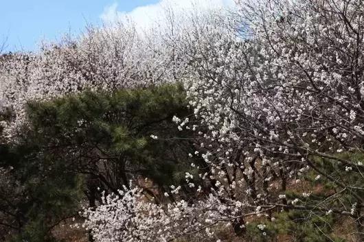 北京这38个森林公园您先收藏了!定个小目标,有空儿玩个遍!