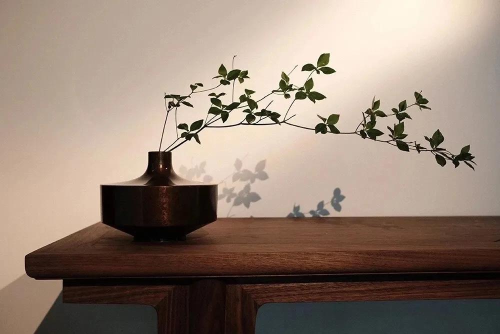 描写山茶梅花的诗句,描写茶梅花的诗句